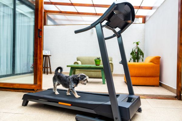 Treadmill Installation in San Rafael
