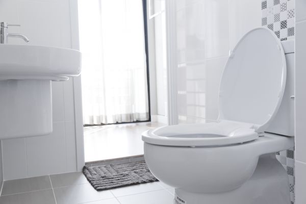 Toilet Seat Installation in San Rafael