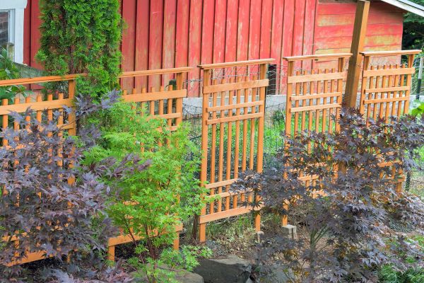 Wood Trellis Mounting in San Rafael
