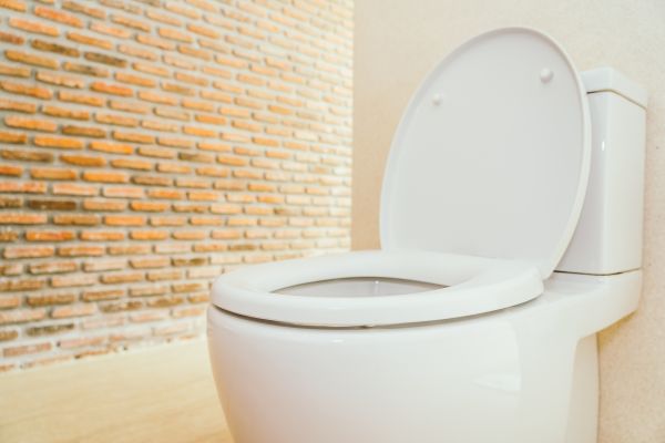 Toilet Seat Repair in San Rafael